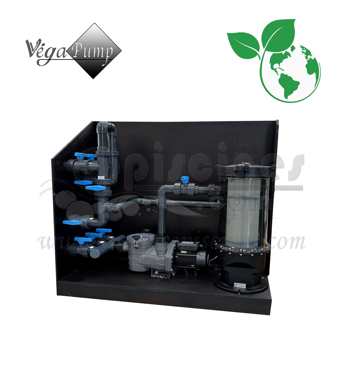 PAL BOX VEGA 6 CLONE