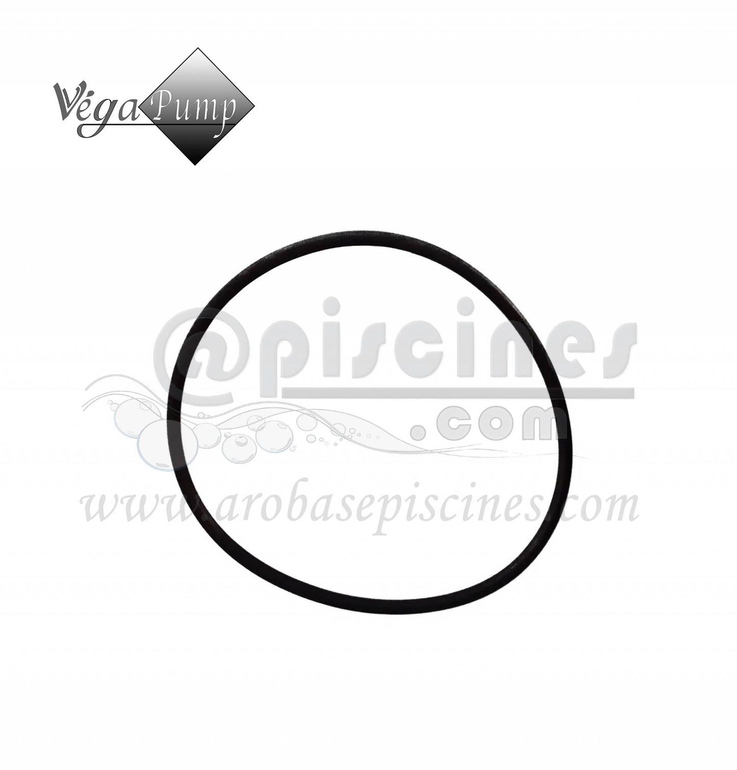 JOINT DE COUVERCLE DE POMPE VEGAPUMP POUR PISCINE FRANCE PISCINES COMPOSITES