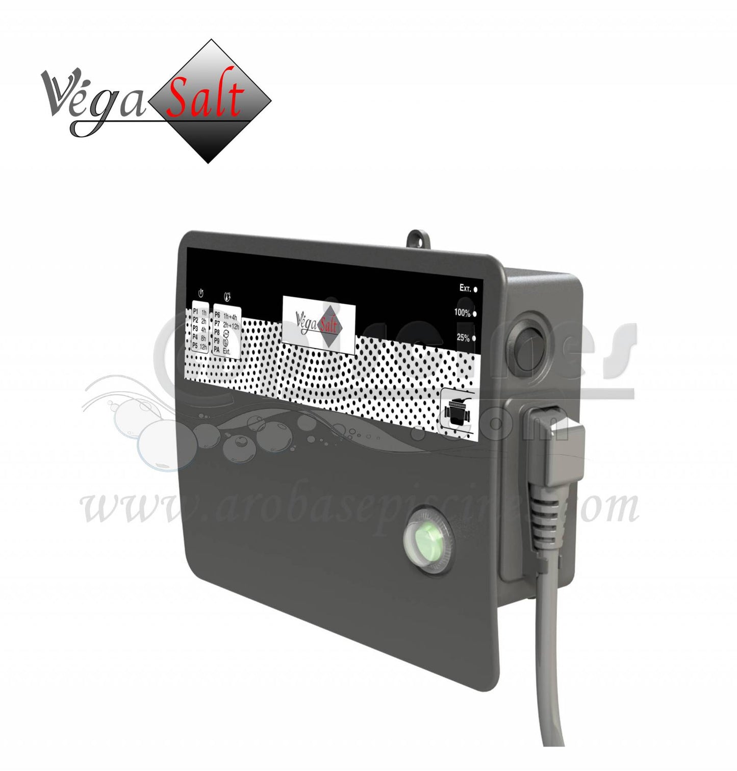 OPTION TÉ DE DERIVATION POUR POMPE A CHALEUR PLUS ELECTROLYSE AU SEL VÉGASALT POUR BLOC FILTRANT