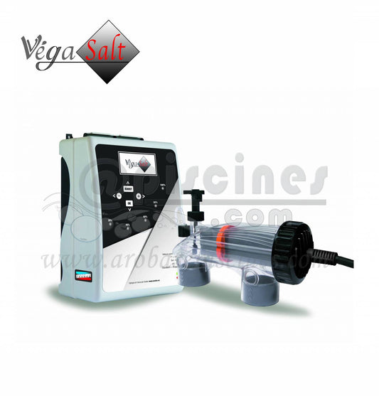 ELECTROLYSEUR AU SEL VEGASALT 30M3, 60M3, 90M3 ET 120M3
