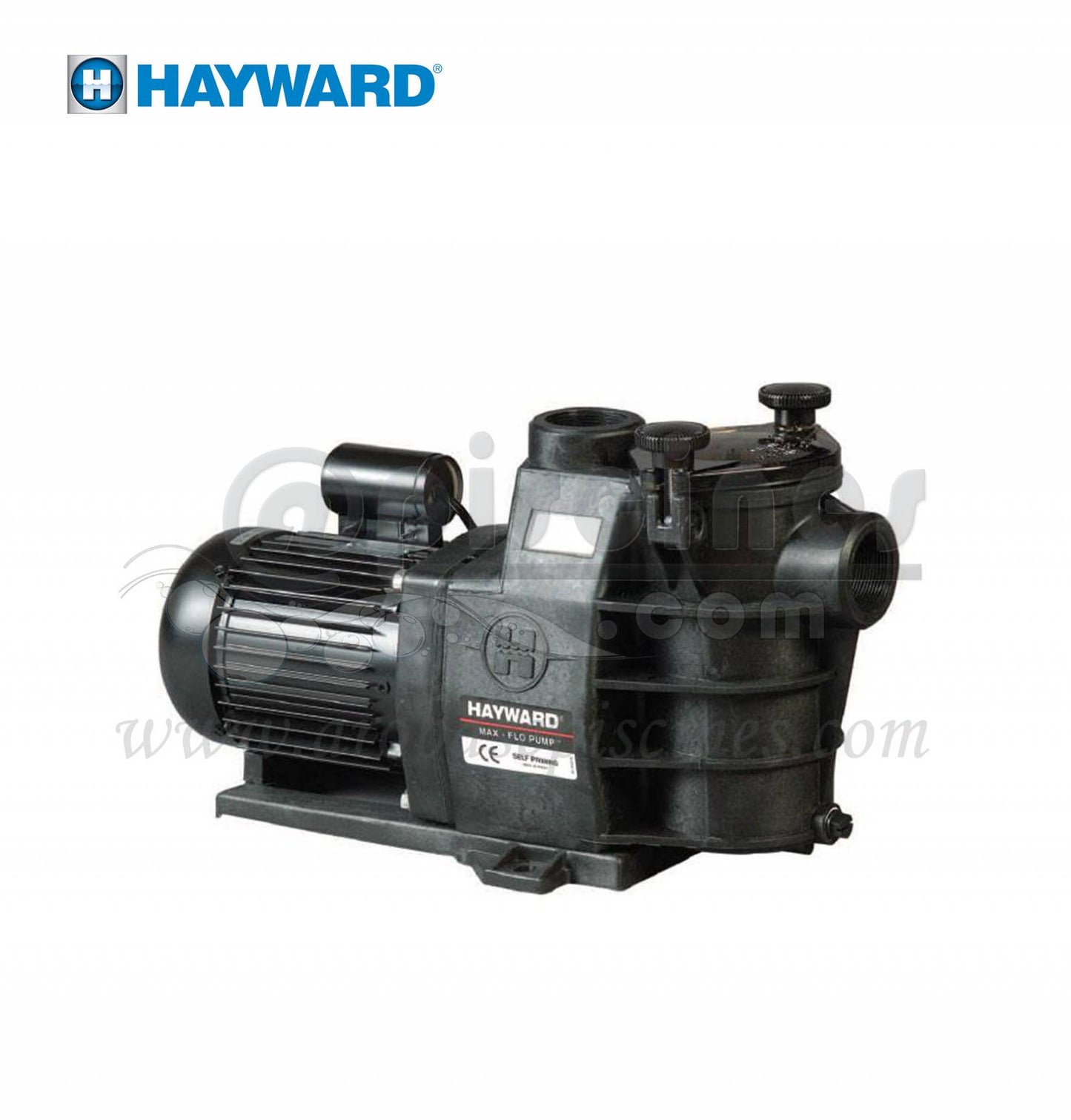 POMPE HAYWARD MAXFLO 11M3/H ou 13M3/H