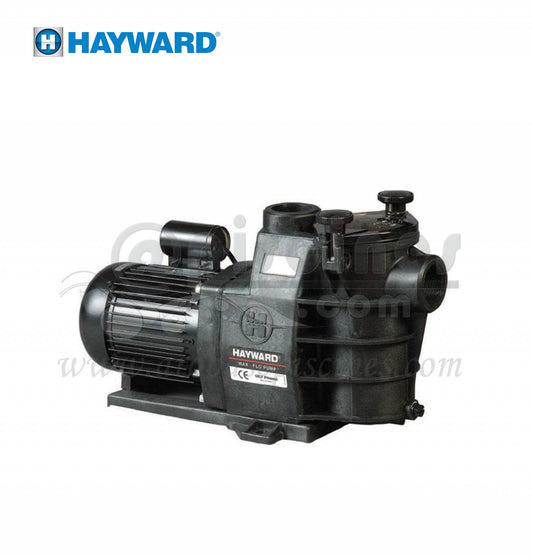 POMPE HAYWARD MAXFLO 11M3/H ou 13M3/H